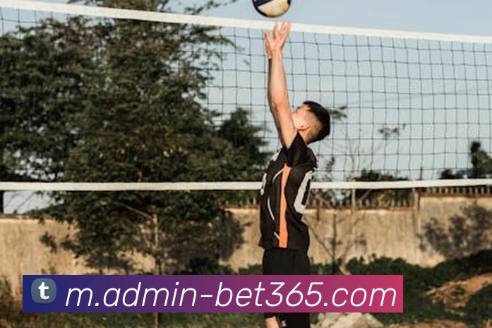 bet365平台生态图